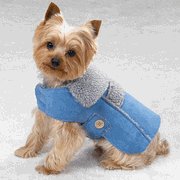 Blue Suede Jacket