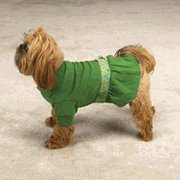 Polo Dress