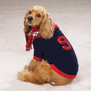 Rugby Sweater