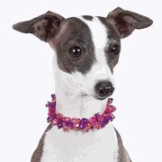 Pink/Purple Pooch Necklace