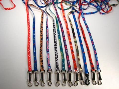 Pooch Leash & Matching Harness Set