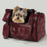 Chocolate Pooch Carrier