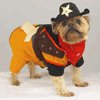 Cowboy Costume
