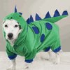 Dinosaur Costume