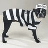 Jail Inmate Costume