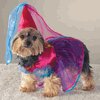 Princess Costume