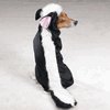 Pepe la Pew Skunk Costume