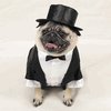 Tuxedo Costume