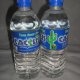 Cactus Mineral Water
