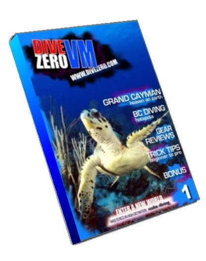 DVD Issue #1