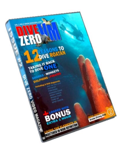 DVD Issue #2