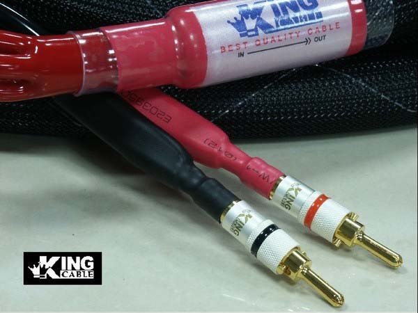 Pure silver high grade speaker cable.