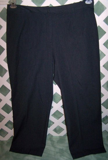 Womens Elisabeth by Liz Claiborne Dress Pants Size 24W