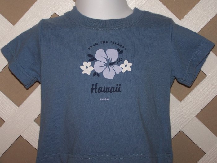 Boys Girls Baby Gap Hawaii Shirt Size 3-6 Months