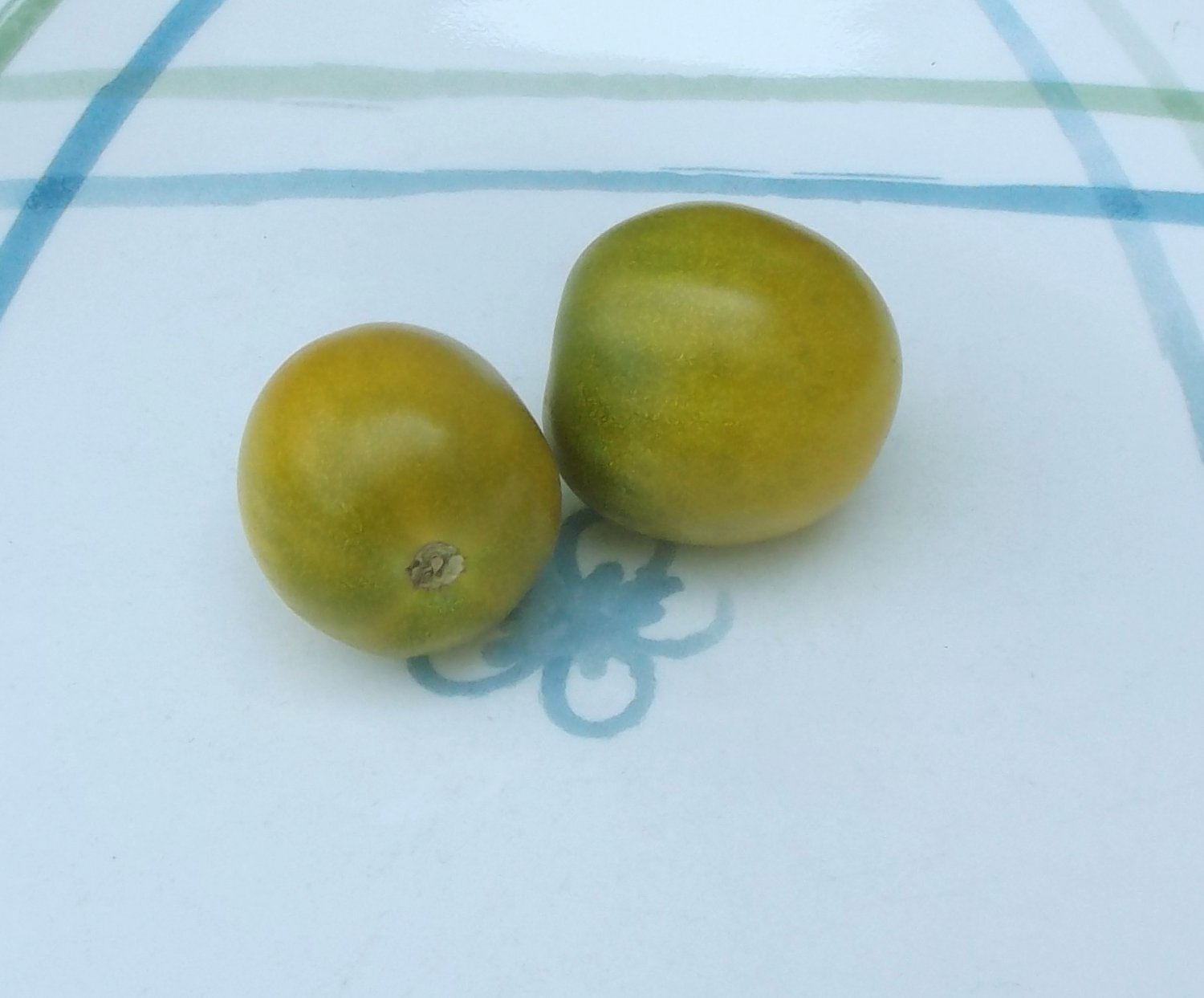Artisan GREEN GRAPE Tomato ( Solanum lycopersicum ) - 15 seeds ~gemsandstems.info~