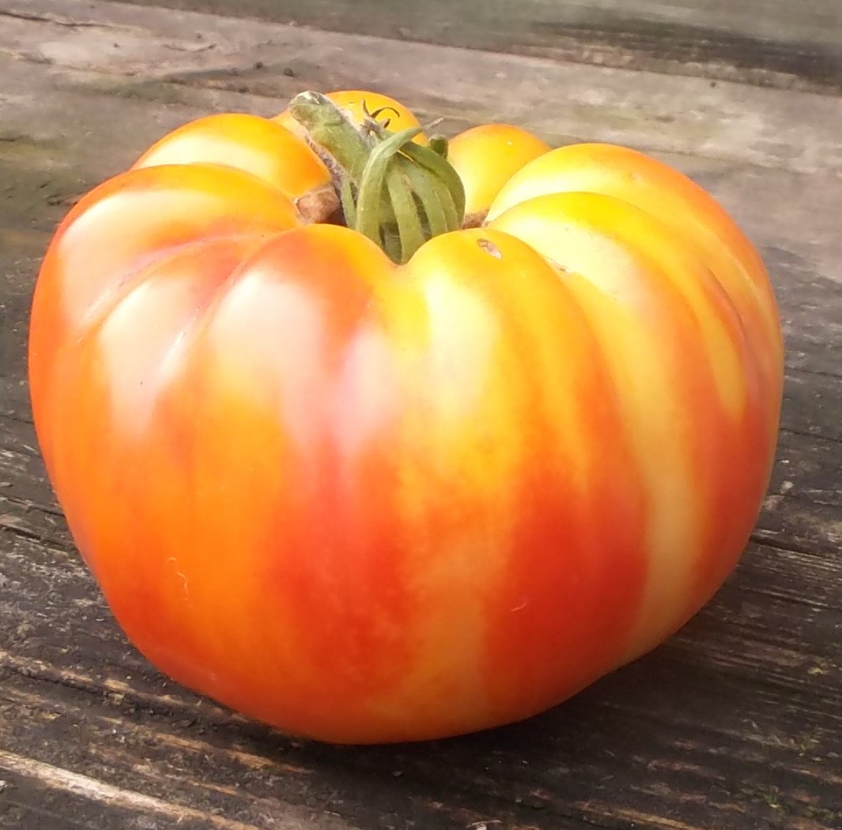 sweet tomatoes sweet tomatoes