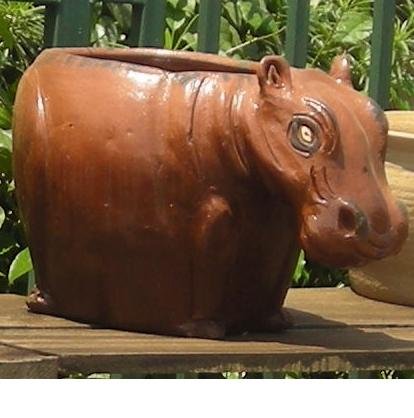 Rhino pot