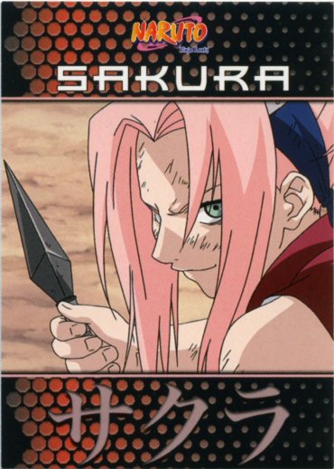 Naruto Ninja Ranks 15