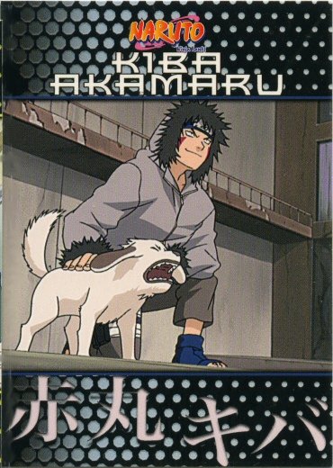 Naruto Ninja Ranks 37