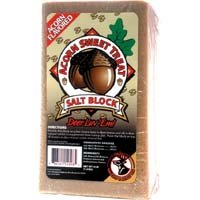Sweet Acorn Block (Pack of 6)