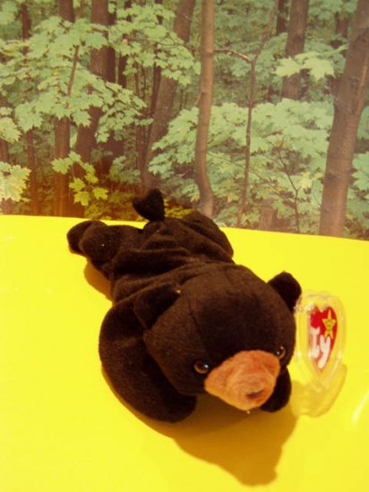 Blackie The bear