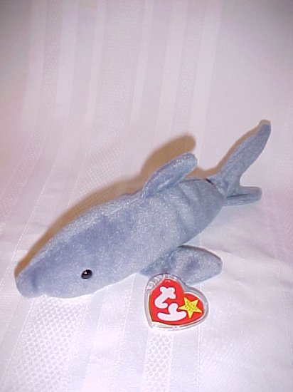 Crunch The Shark