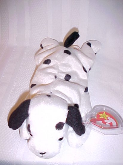 Dotty The Dalmation