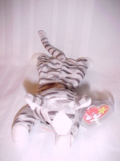 Prance The Cat