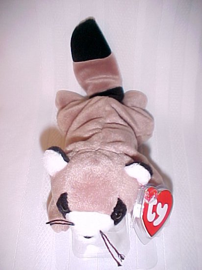 Ringo The Racoon
