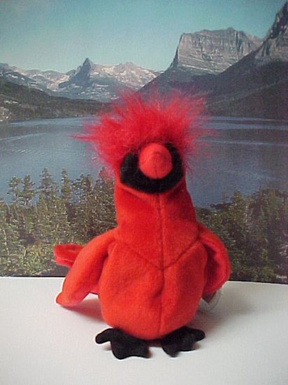 Mac The Cardinal