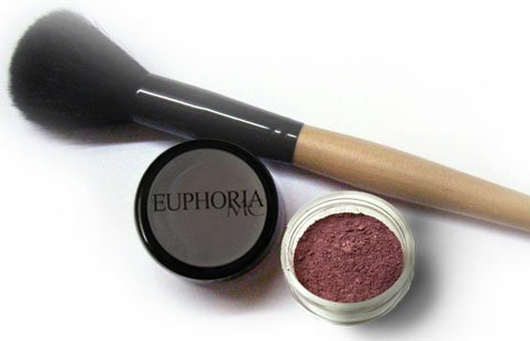 4 Blushes and 1 Blush brush Set 10% off