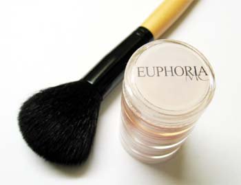 Christmas Mineral Makeup Set D