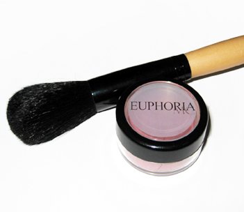 1 Blush and Blush brush Set 5% Off