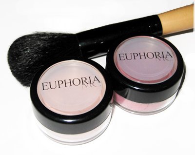 2 Blushes and 1 Blush Brush Set 5% Off