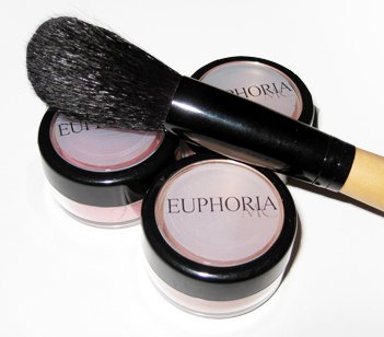 3 Blushes and 1 Blush brush Set 10% Off