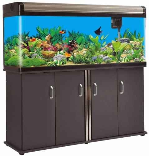 133 Gallon Fish Tank Reef Aquarium Curved GLASS