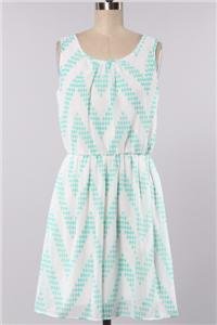 Womens Small Dress NWT Small Mint Chevron Dress Lined USA ~