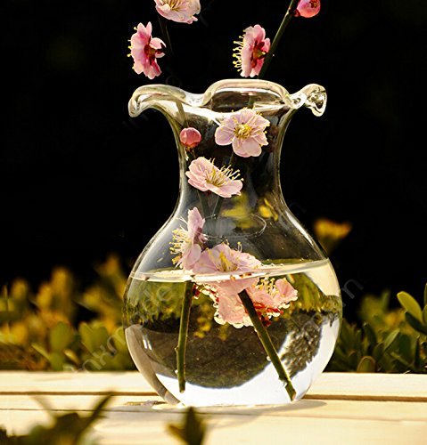 Delicate Decorative Clear Glass Scalloped Lipped Flower Vase for Home or Office