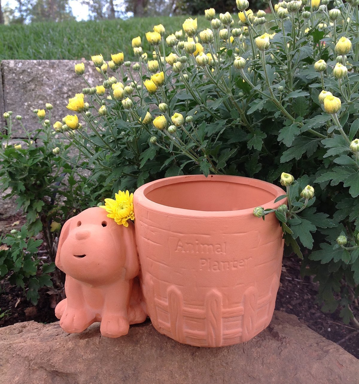 Natural Terra Cotta Animal Pot or Planter for Fun Gardeners