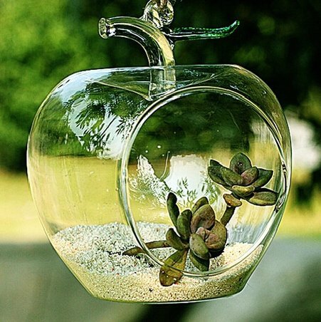 Apple Shaped Clear Glass Planter for Small Succulents, Air Plants or Rock