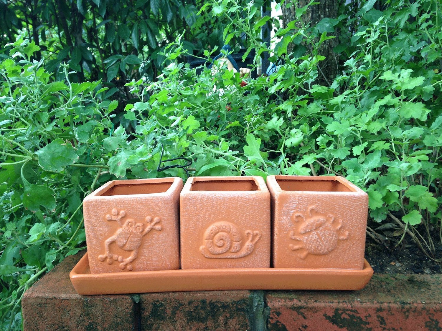 Terra Cotta Clay Set of 3 Small Square Embossed Earthenware Planters with tray