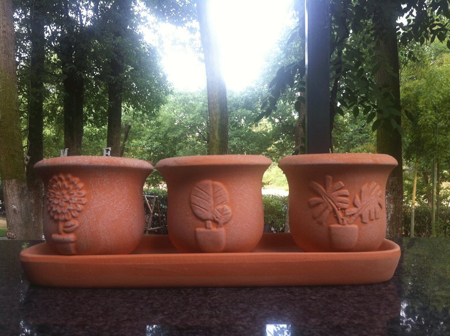 Terra Cotta Clay Set of 3 Small Embossed Earthenware Planters with Tray