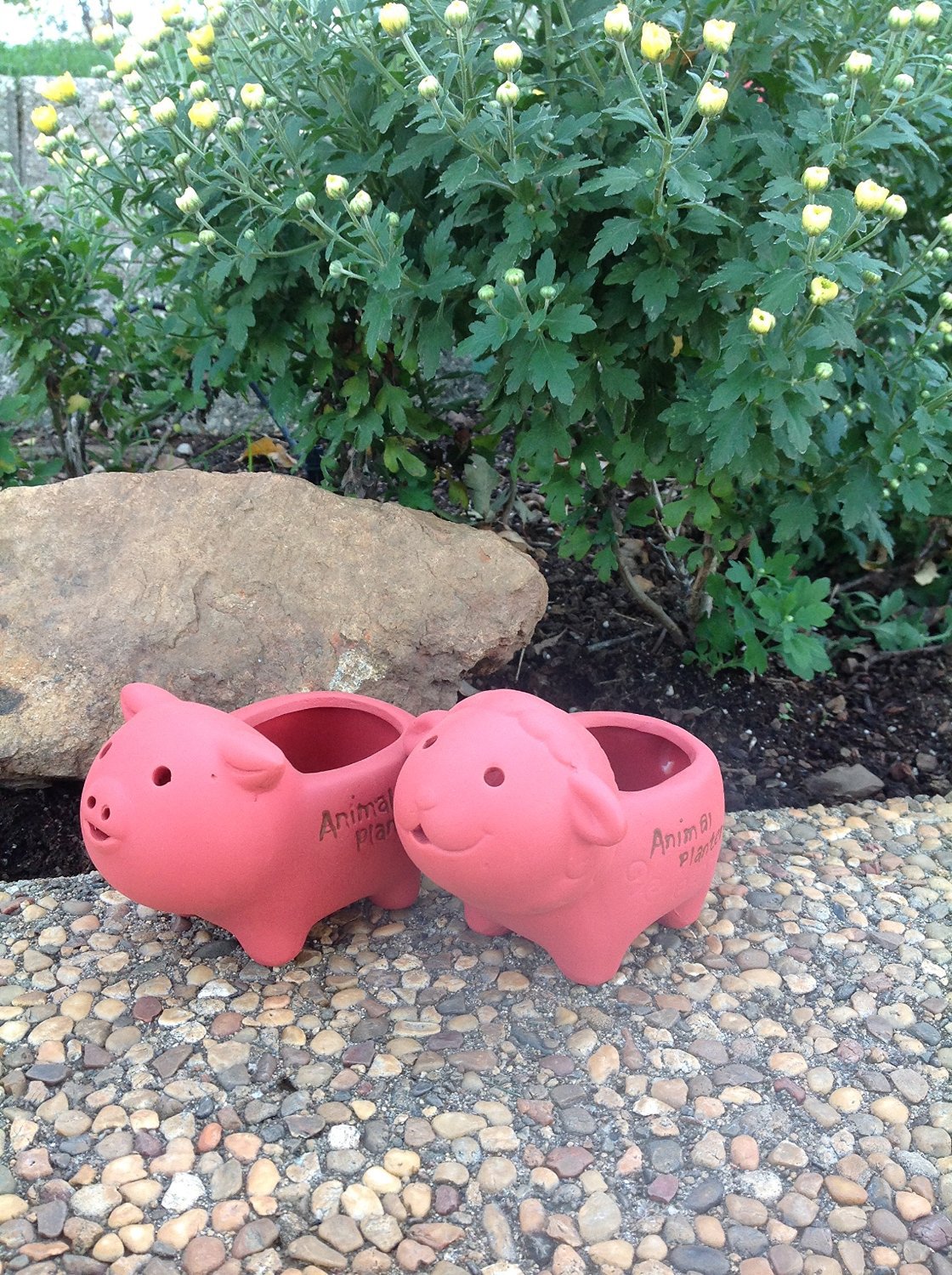 Set of 2 Adorable Terra Cotta Sheep and Pig Shaped Mini Planters for Indoor or Outdoor Use
