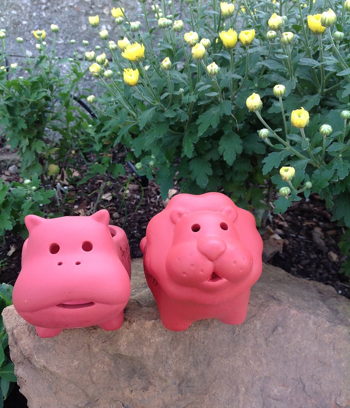 Set of 2 Adorable Terra Cotta Lion and Hippopotamus Shaped Mini Planters for Indoor or Outdoor Use
