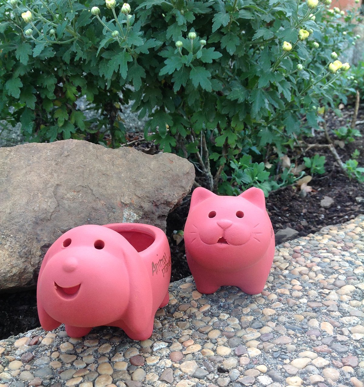 Set of 2 Adorable Terra Cotta Dog and Cat Shaped Mini Planters for Indoor or Outdoor Use