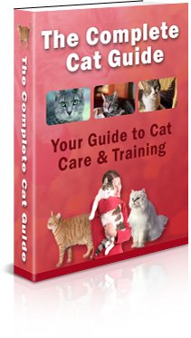 Complete Cat Guide