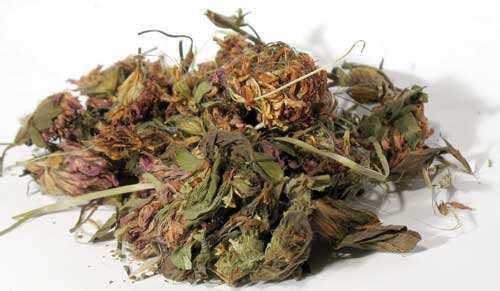Red Clover Whole 2oz