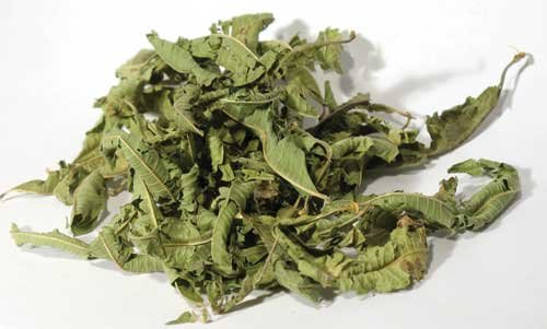 Lemon Verbena Leaf Cut 1oz