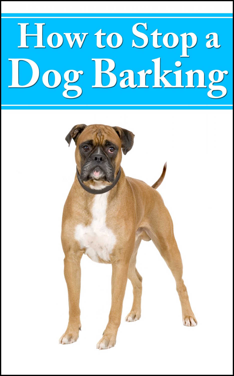 HOW TO STOP DOG BARKING - Methods to Stop Your Dog’s Excessive Barking - eBook