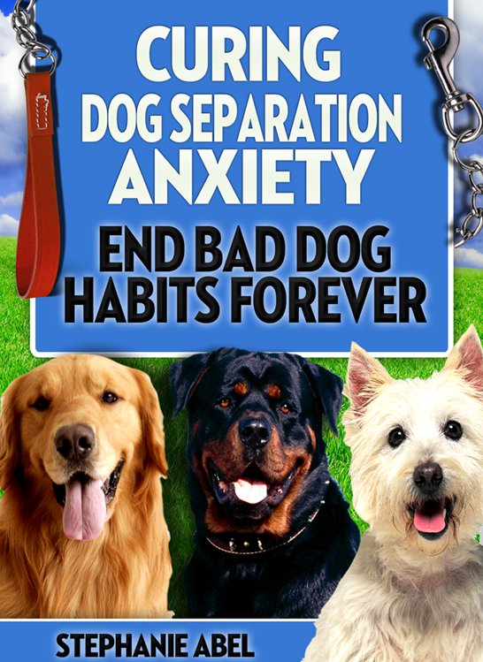 Curing Dog Separation Anxiety - MP3 Audio Book & Ebook